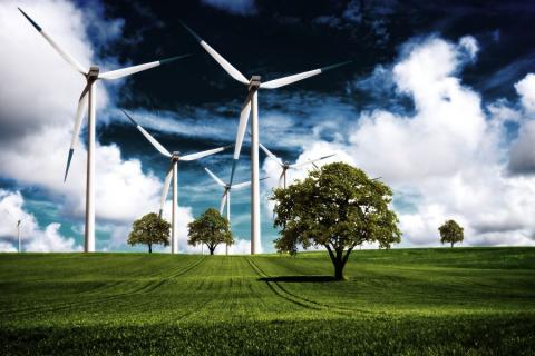 Program de stimulare pe acțiuni 2024 Vestas Wind Systems