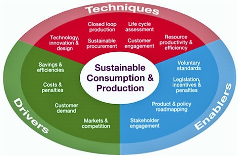 Reducerea creșterii producției și consumului ar putea contribui la rezolvarea crizei climatice?
