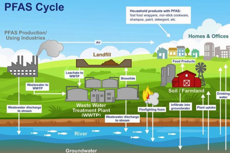 PFAS