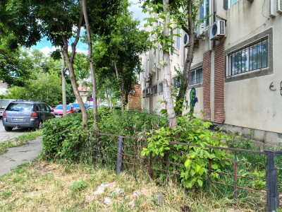 IMG_20250513_123544948_HDR.jpg
