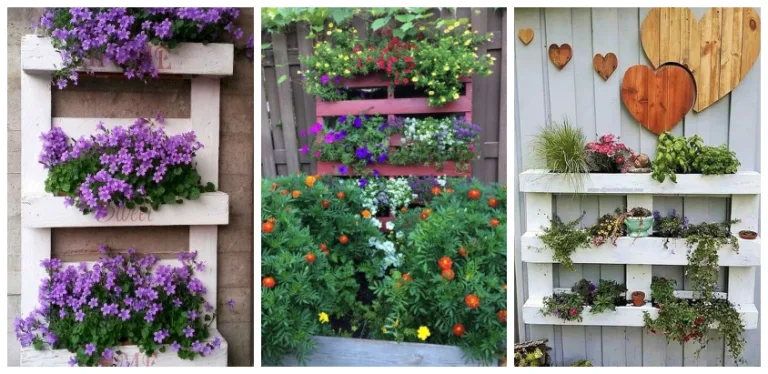 Grădină verticală din paleți de lemn