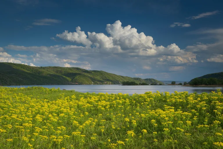 situl Natura 2000 Frumoasa