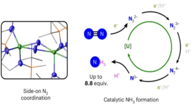 azotul din aer în amoniac